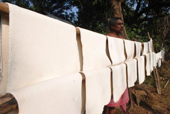 Slash in rubber price : planters thinking for alternatives; Commerce Parliamentary Standing Committee to review the situation in West Bengal and Tripura